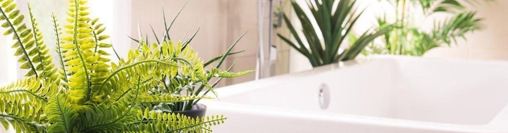 A Handy Guide To Bathroom Plants