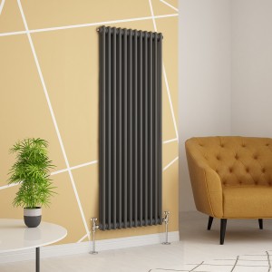 Bern - Anthracite Traditional Vertical Double Column Radiator - Choice of Size